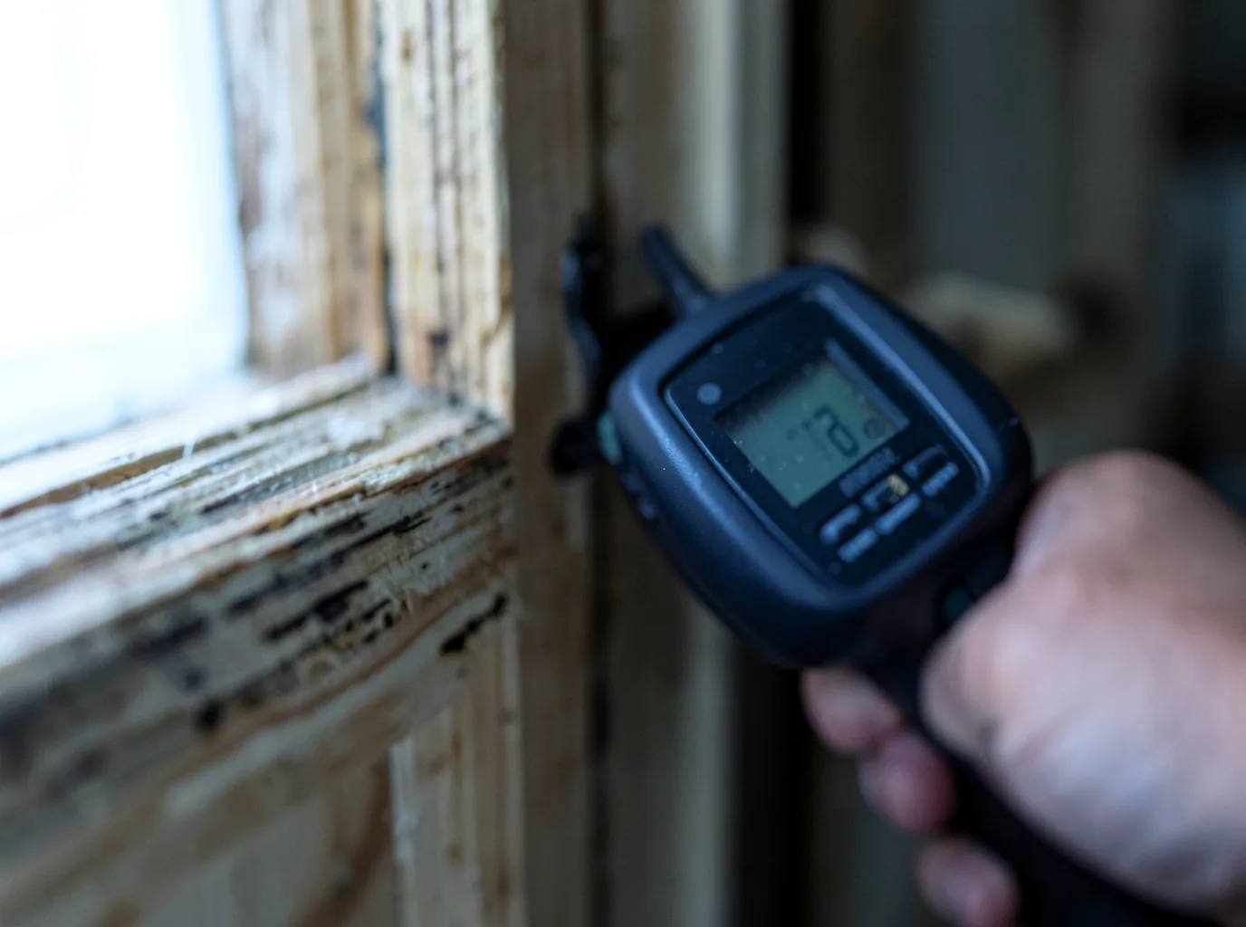 Moisture Inspection And Documentation in Tuleta, TX